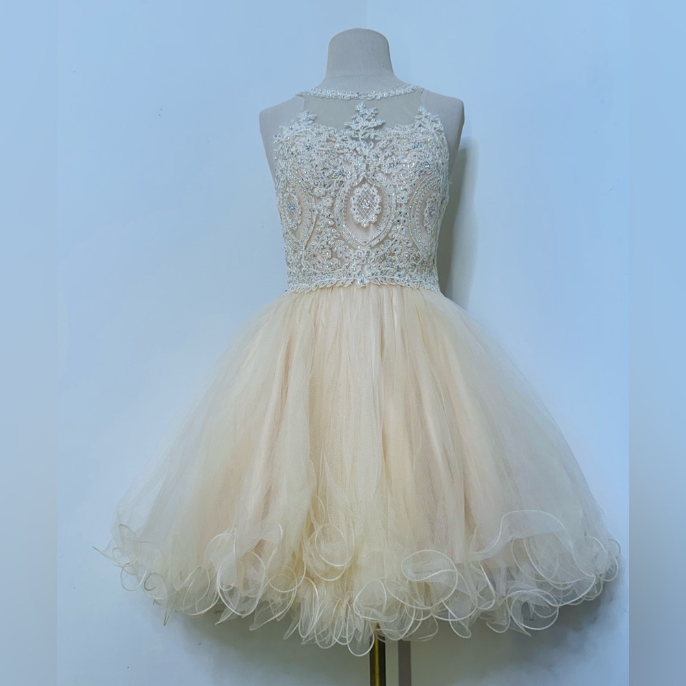 Elegant Cream Lace Dress